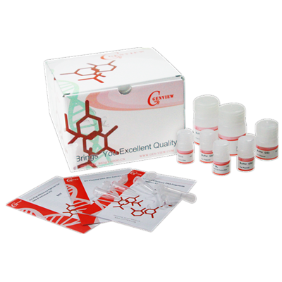 Genview 高效 DNA 凝胶回收试剂盒（切胶回收）